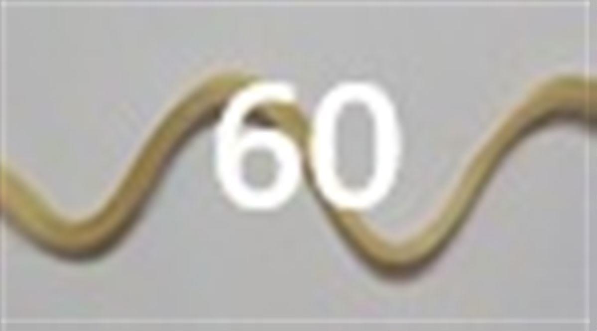 #60 Ξανθό λευκό