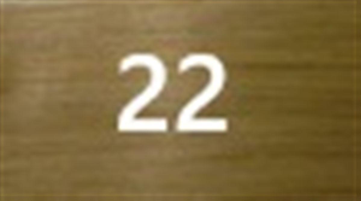 #22 Ξανθό χρυσαφί ανοιχτό