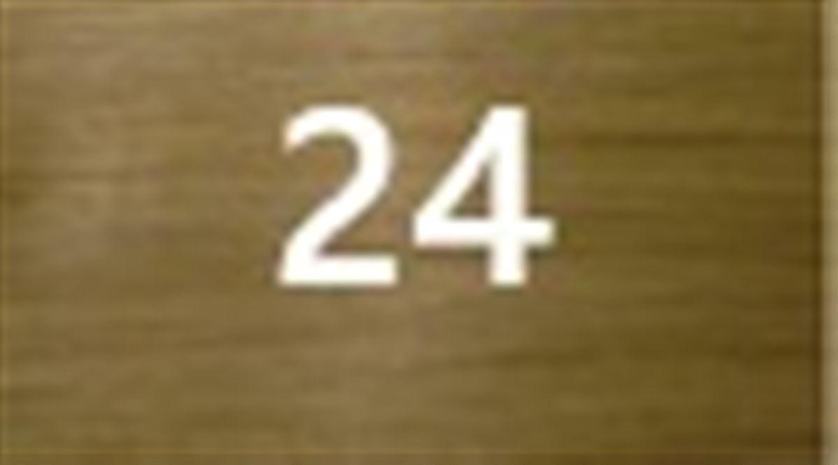 #24 Ξανθό χρυσαφί ανοιχτό