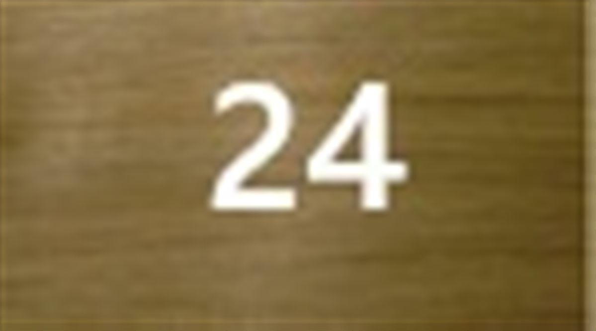 #24 Ξανθό χρυσαφί ανοιχτό