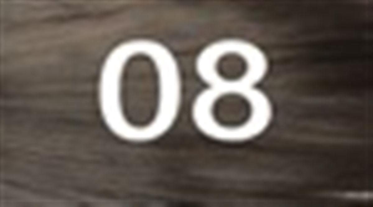 #08 Ανοιχτό καστανό
