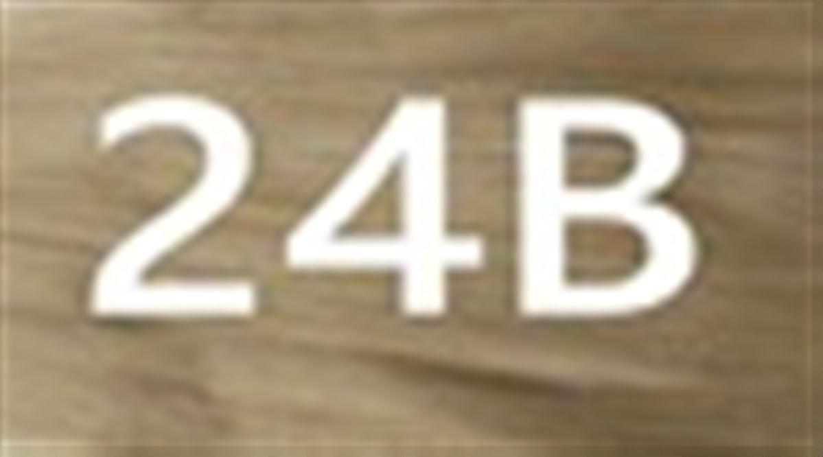 #24B Ξανθό χρυσαφί