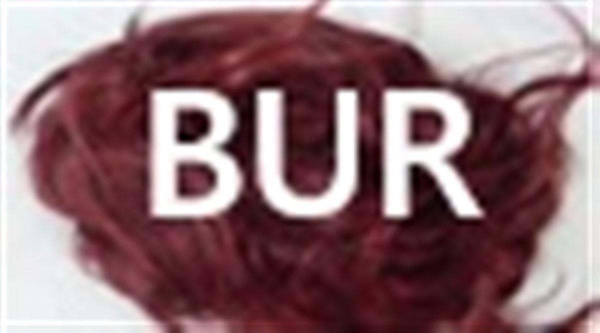#BUR Βουργουνδίας