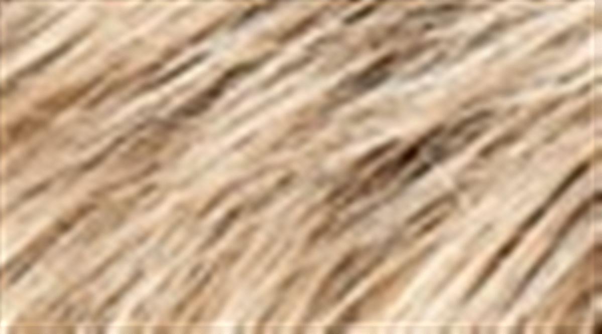 Sandyblonde mix toned 26.14