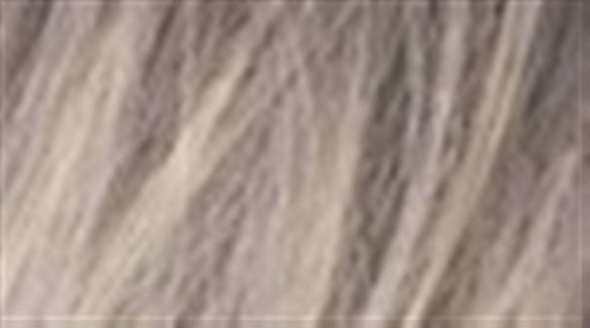Silverblonde rooted 60.101