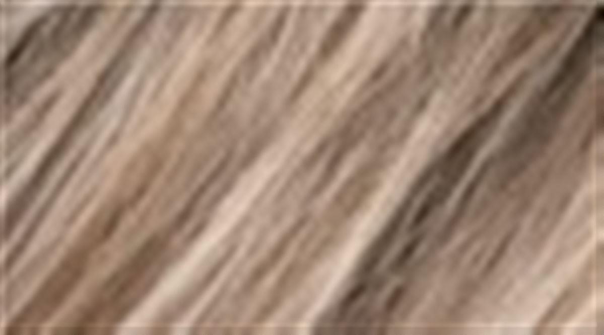 Pearlblonde rooted 101.16.14