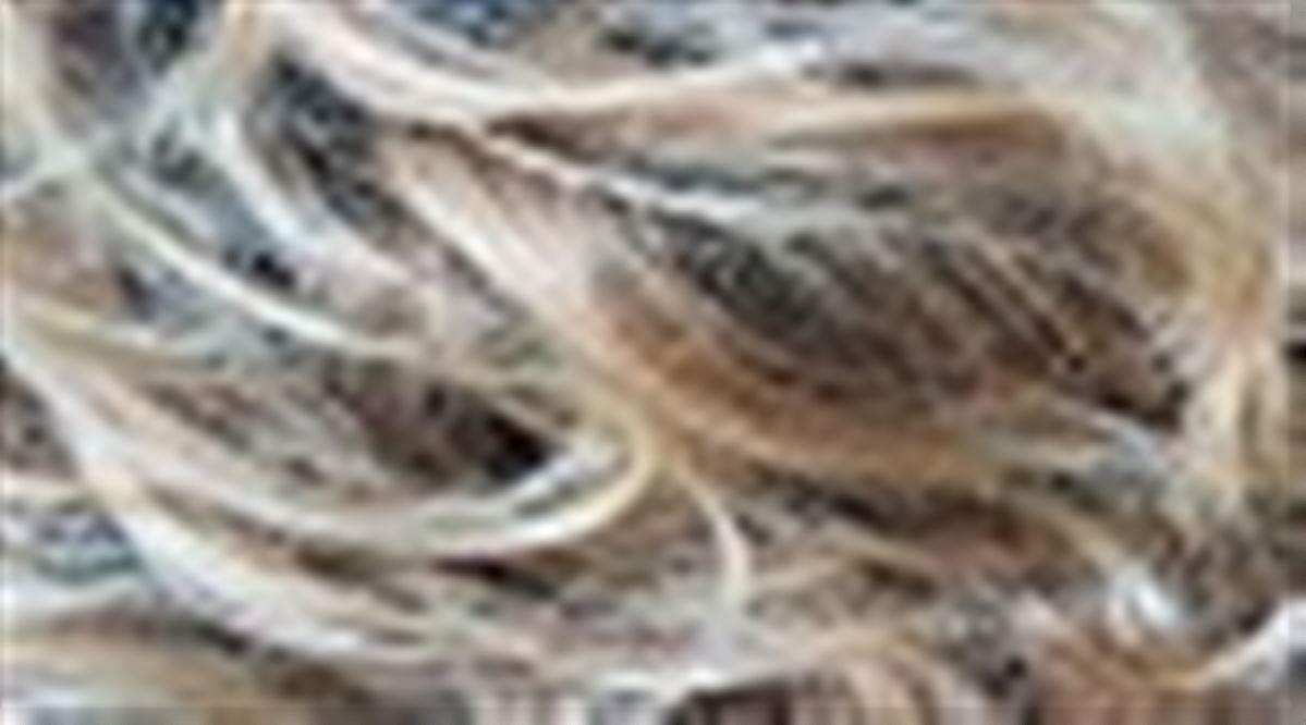 Sandyblonde rooted 16.22.20
