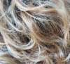 Περούκα  Συνθ/κή APP FR Lace Ellen Wille Sandyblonde rooted 16.22.20