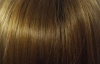 Περούκα  Συνθ/κή VISTA Ellen Wille m/filament-m/crown BERNSTEIN ROOTED 12.26.19