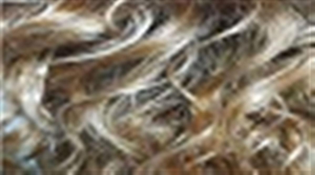 Lightbernstein rooted 12.27.26