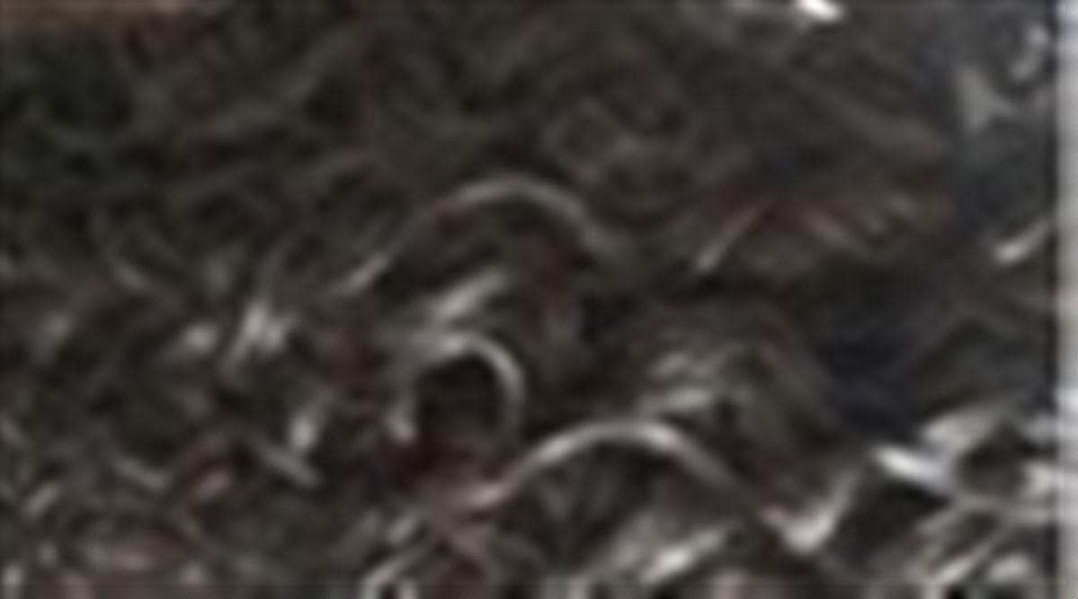 1B