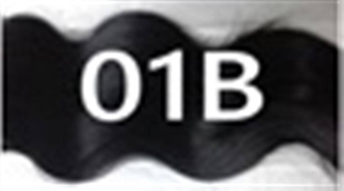 #01B Μαύρο