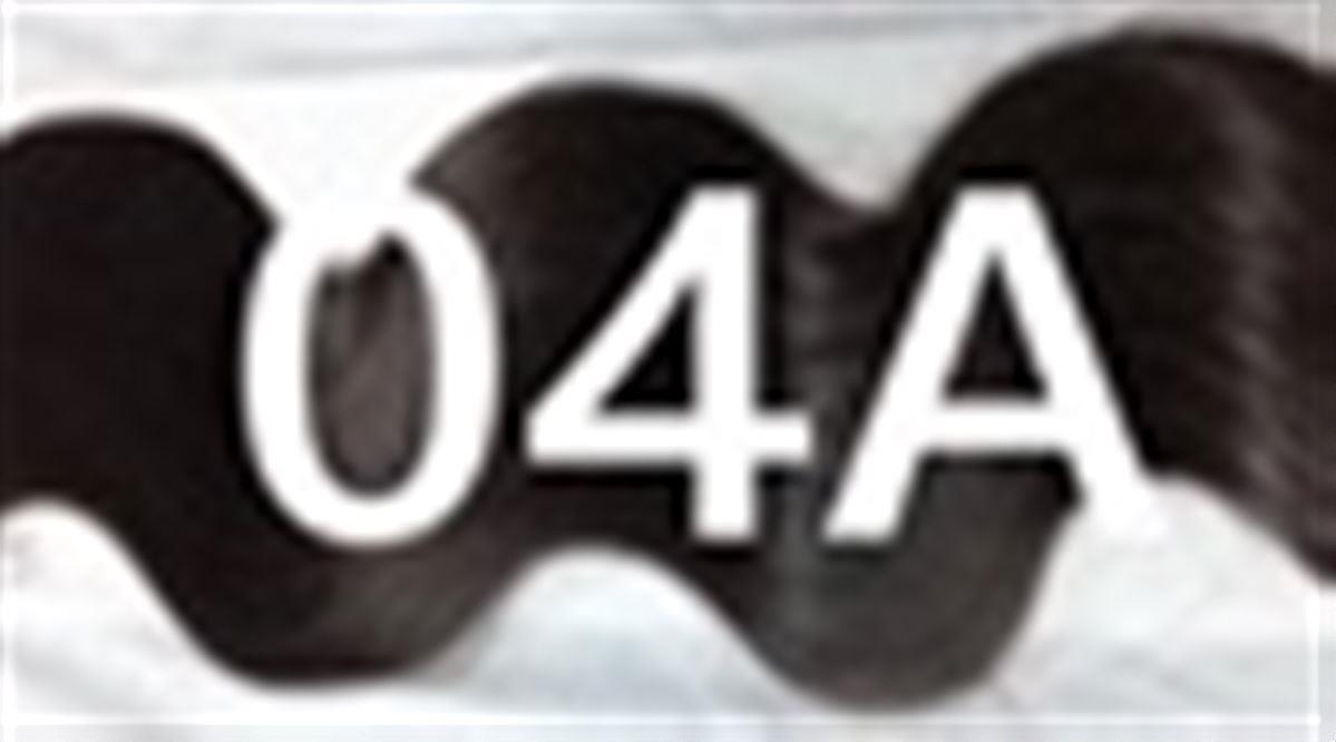 #04Α Καστανό